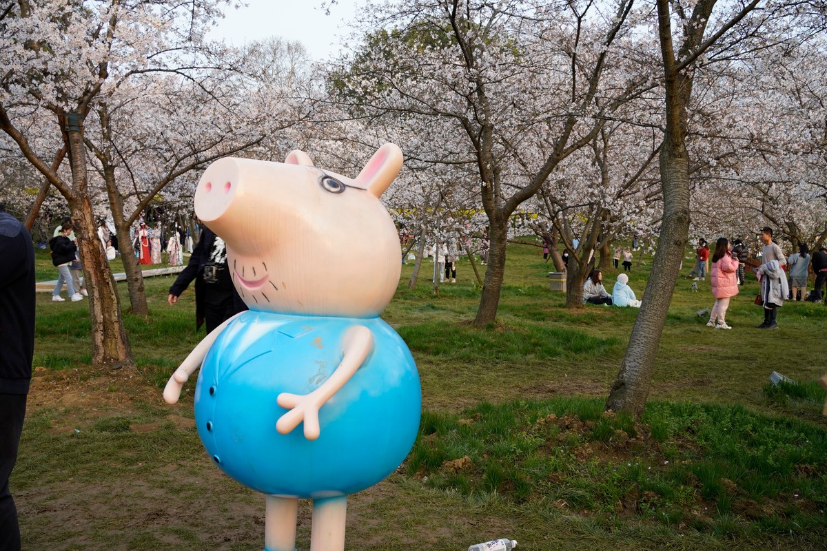 spring in wuhan