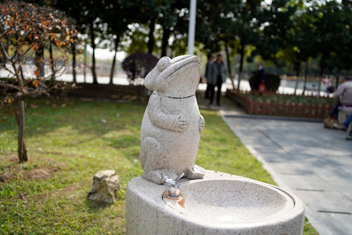 spring in wuhan