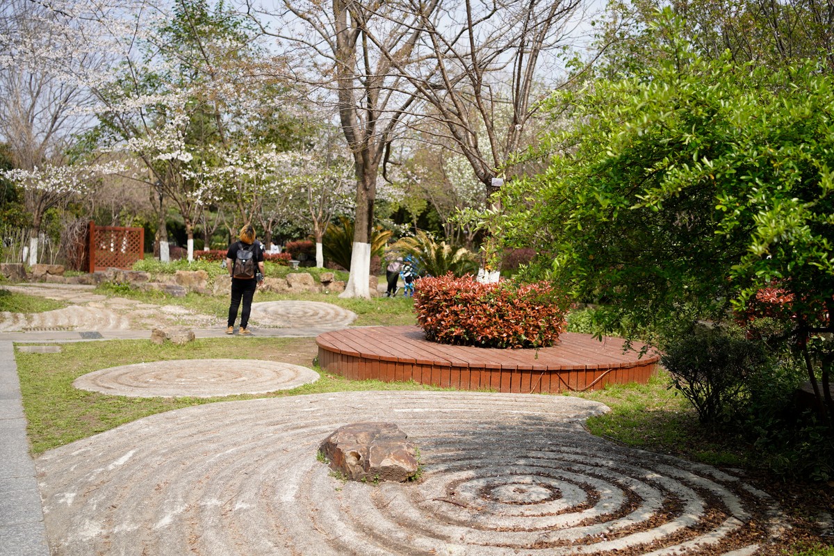 spring in wuhan